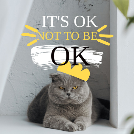 Template di design frase ispiratrice con divertente gatto serio Instagram