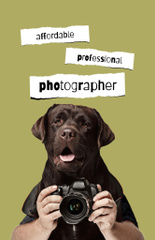 Cute Ad of Affordable Photography Services