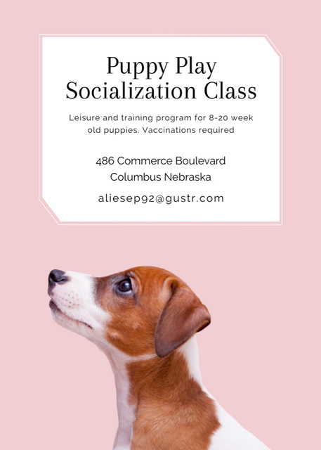 Plantilla de diseño de Puppy Socialization Class with Dog in Pink Invitation 