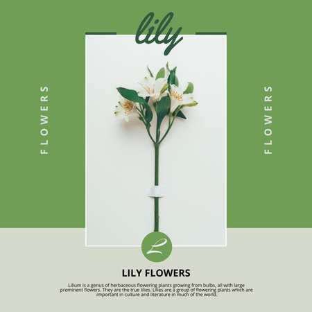 A Sprig Of Exquisite Lilies  Instagram Design Template