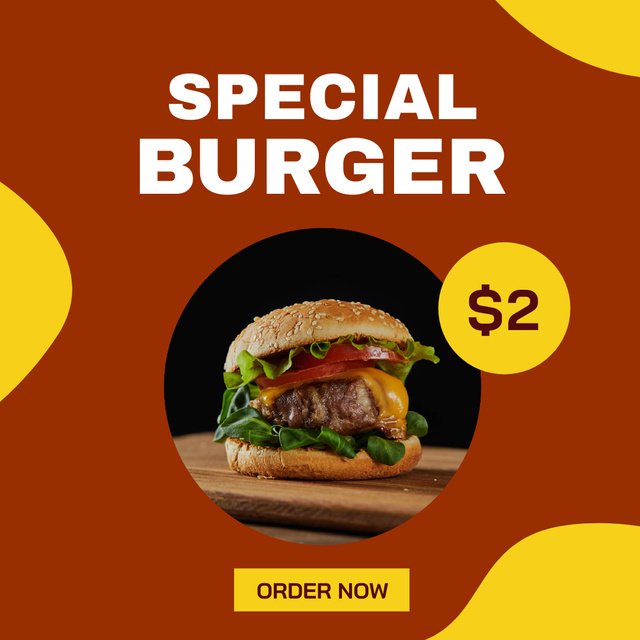 Special Burger Offer for Low Price Instagram tervezősablon