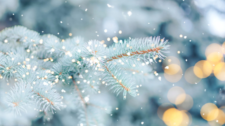 Snowy Fir Branch with Bokeh Zoom Background Design Template
