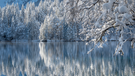 Platilla de diseño Winter Landscape with Forest and Lake Zoom Background