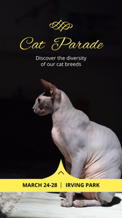 Kivételes macskaparádé különféle macskafajtákkal Instagram Video Story tervezősablon