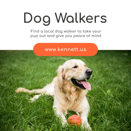 Plantilla de diseño de Servicios para pasear perros Golden Retriever sobre césped Instagram 