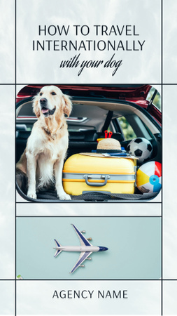Retriever Dog Sitting in Car Trunk with Luggage Instagram Video Story Design Template