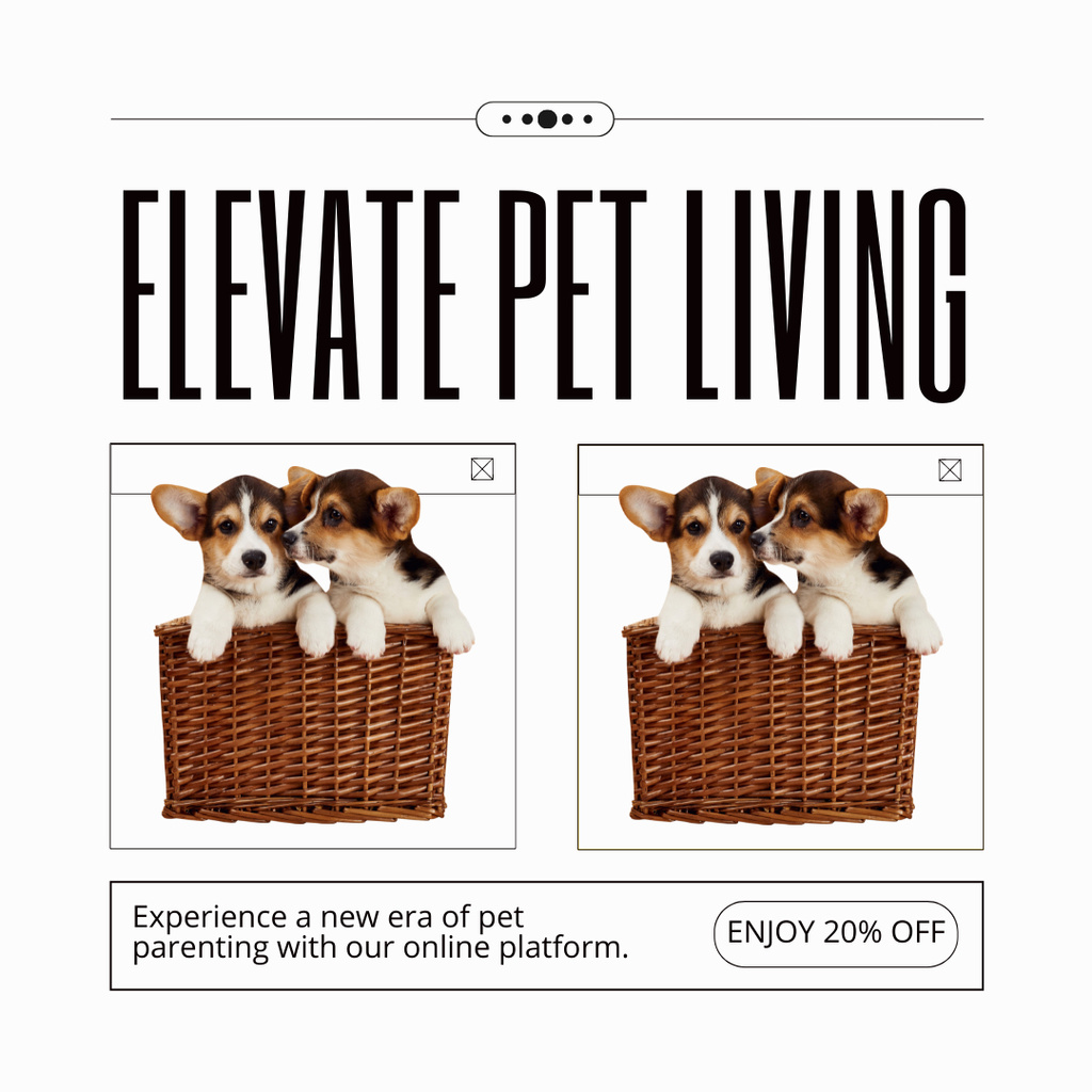 Designvorlage Enjoy Discounts on Sweet and Friendly Dog Breeds für Instagram