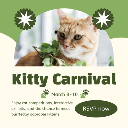 Cat Show and Competition Instagram AD Design Template