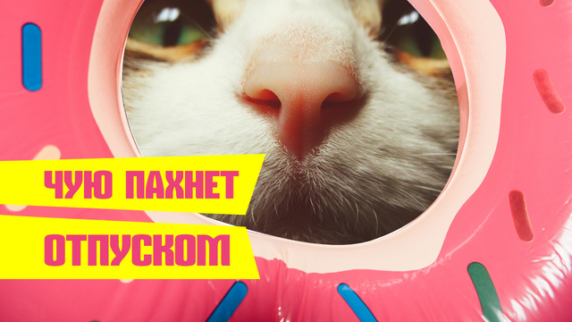 Funny Kitty sniffing Donut Youtube Thumbnail – шаблон для дизайна