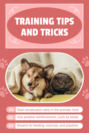 Tricks and Tips for Effective Training Pets Pinterest Design Template