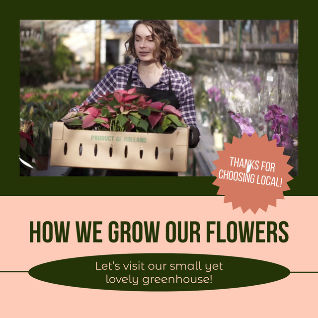 Work Process Of Local Growing Flowers In Greenhouse Animated Post tervezősablon