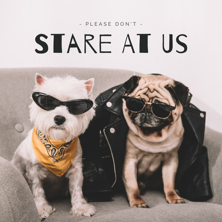 Funny Dogs in Cool Daring Outfits Instagram Design Template