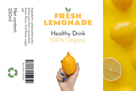 Ontwerpsjabloon van Label van verse zelfgemaakte limonade