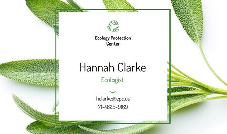 Ecologist Services with Healthy Green Herb Business card Design Template