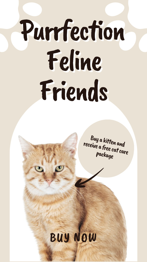 Designvorlage Perfect Feline Friends Are Waiting for You für Instagram Story
