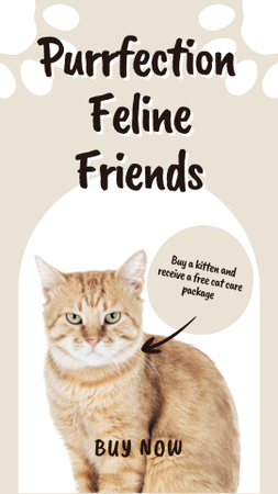 Perfect Feline Friends Are Waiting for You Instagram Story Design Template