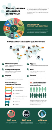 Map Infographics about World Pets Owners Infographic – шаблон для дизайна