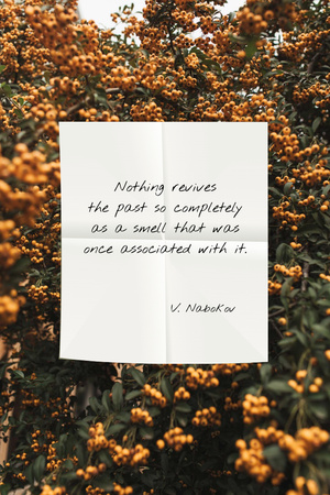 Szablon projektu Quote about Smell on flowers background Pinterest