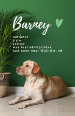 Missing Cute Labrador on Green with Heart