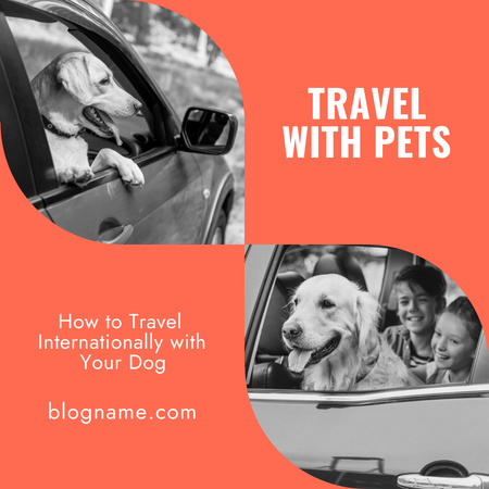 Tips How to Travel with Pets with Dog in Car Instagram Modelo de Design