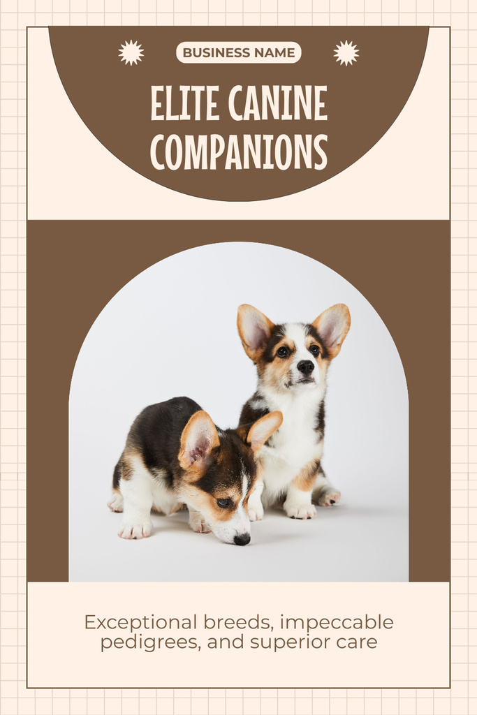 Designvorlage Offer of Elite Welsh Corgi Puppies für Pinterest