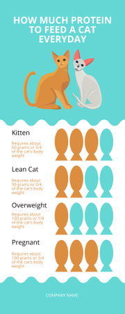 Dicas de alimentação para gatos Infographic Modelo de Design