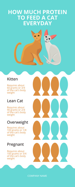 Cat Feeding Tips Infographic Tasarım Şablonu