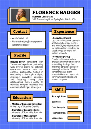 Ontwerpsjabloon van Resume van Vaardigheden en ervaring van een professionele bedrijfsadviseur