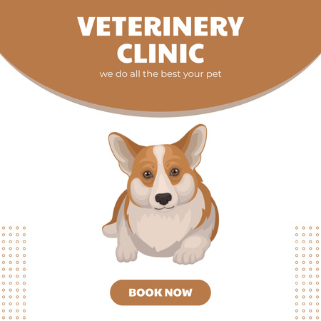Offer of Veterinary Clinic Services with Cute Corgi Instagram AD Šablona návrhu