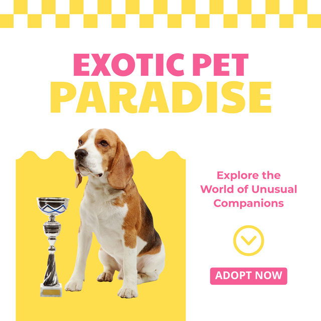 Template di design Purebred Animals and Contests Winners Sale Instagram AD