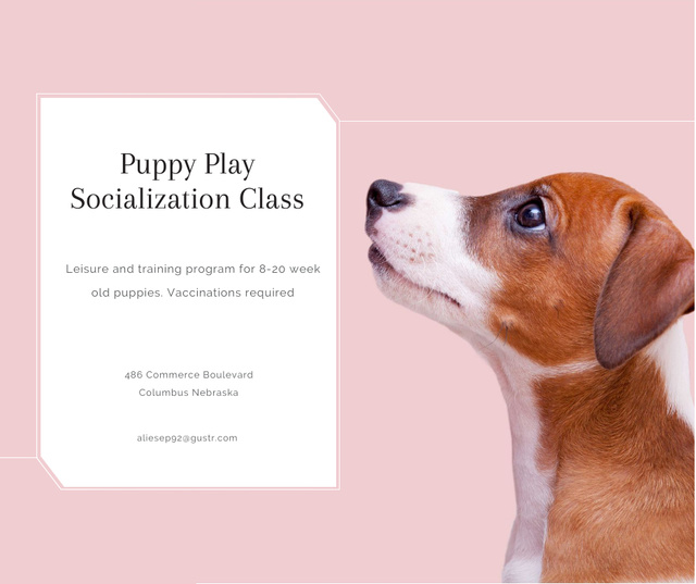Puppy socialization class with Dog in pink Facebook Design Template