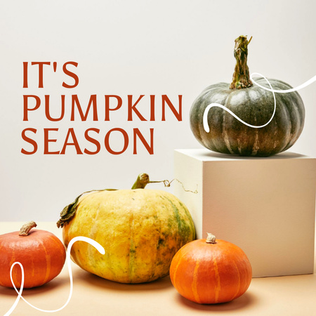 Autumn Inspiration with Ripe Pumpkins Season Instagram Design Template