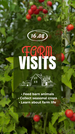 Lovely Farm Visits With Activities Offer TikTok Video Design Template