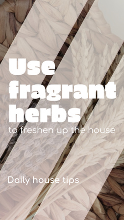 Fragrant Herbs For Fresh Aroma At Home Promotion TikTok Video Design Template