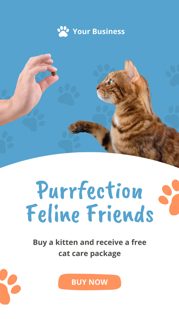 Perfect Cats for Adoption Instagram Story Πρότυπο σχεδίασης