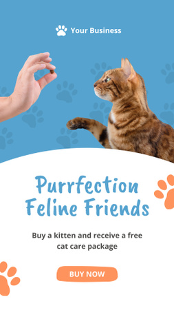 Perfect Cats for Adoption Instagram Story Design Template
