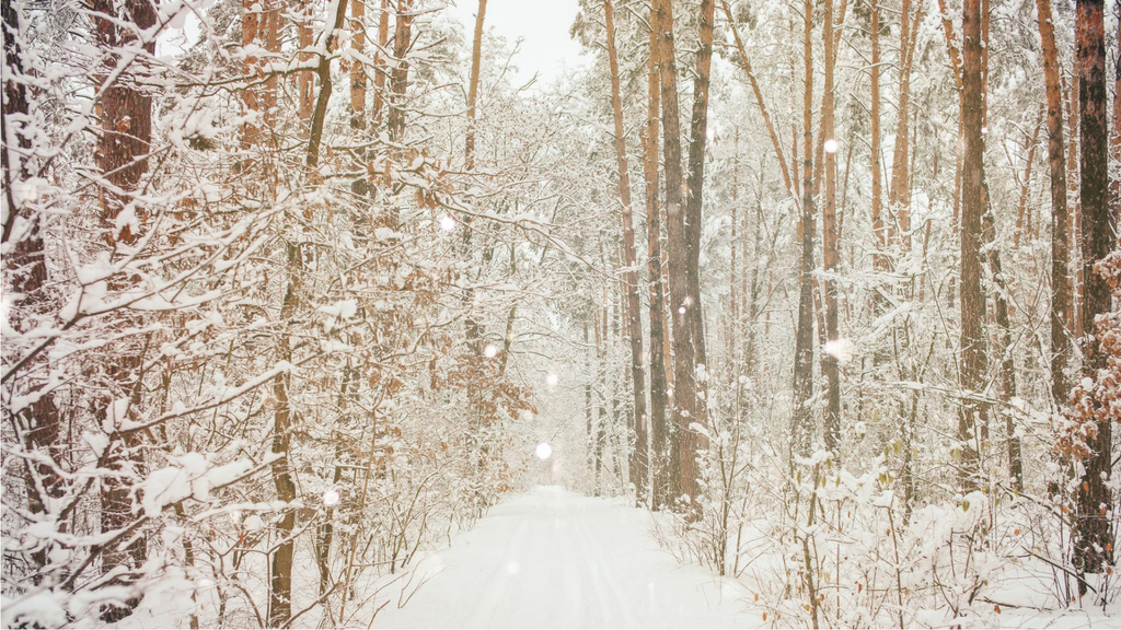 Charming snowy Forest Zoom Background – шаблон для дизайну