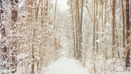 Charming snowy Forest Zoom Background Πρότυπο σχεδίασης