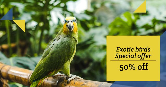 Discount Offer for Exotic Birds with Parrot Facebook AD Modelo de Design