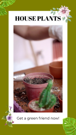 Ontwerpsjabloon van TikTok Video van Succulenten In Pot En Kamerplanten Aanbieding