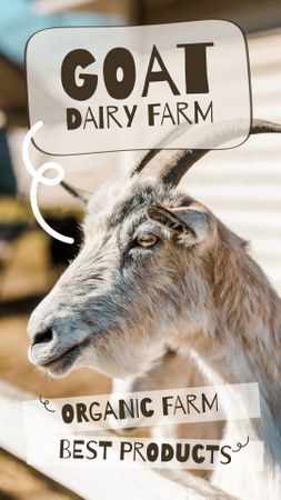 Keçi Çiftliğinden En İyi Ürünler Instagram Story Tasarım Şablonu