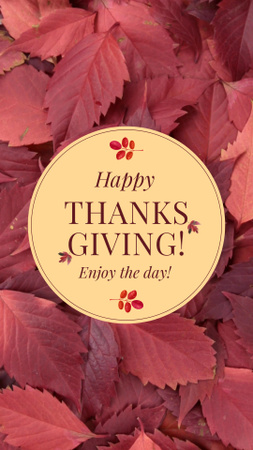 Red Foliage And Thanksgiving Day Congratulations TikTok Video Design Template