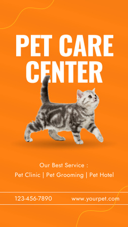 Pet Care Center Ad with Little Kitty Instagram Story Design Template