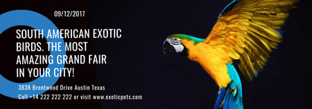 Exotic Birds Shop Ad Flying Parrot Tumblr Design Template