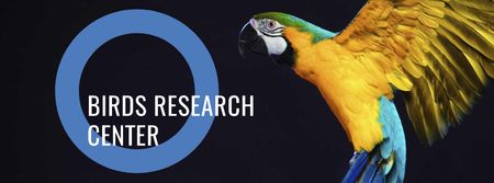 Modèle de visuel centre sud-américain des oiseaux exotiques - Facebook cover