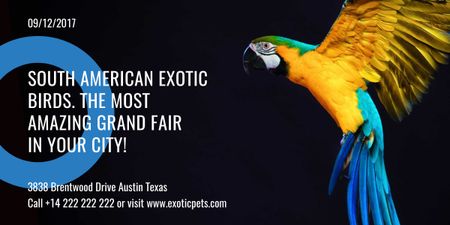 Exotic Birds fair Blue Macaw Parrot Image Design Template