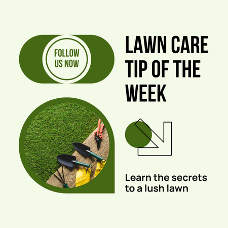 Essential Lawn Care Tips Instagram AD Design Template