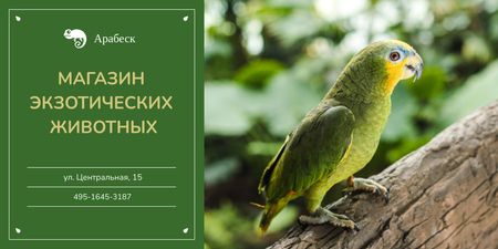 Pet Shop Ad with Cute Green Parrot Twitter – шаблон для дизайна
