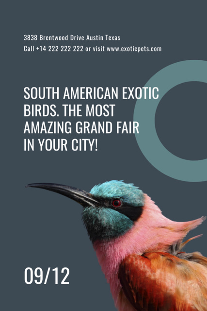 American Exotic Birds Fair Announcement Flyer 4x6in Design Template