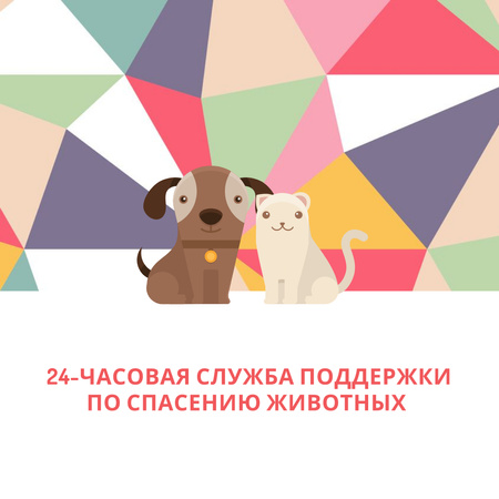 Цитата Домашние животные Милая собака и кошка Instagram AD – шаблон для дизайна